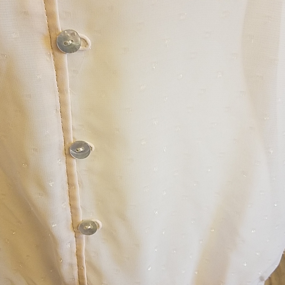 The Limited Sheer Pink Shimmer Top - Picture 2 of 3